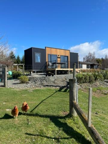 Boutique Tiny House - Te Anau Country Accommodation Exterior foto
